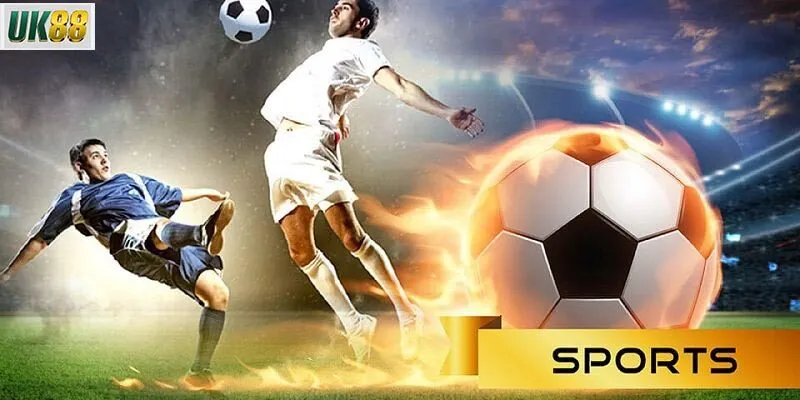 Mách bạn một số mẹo chơi cá độ bóng đá giúp tăng tỷ lệ thắng