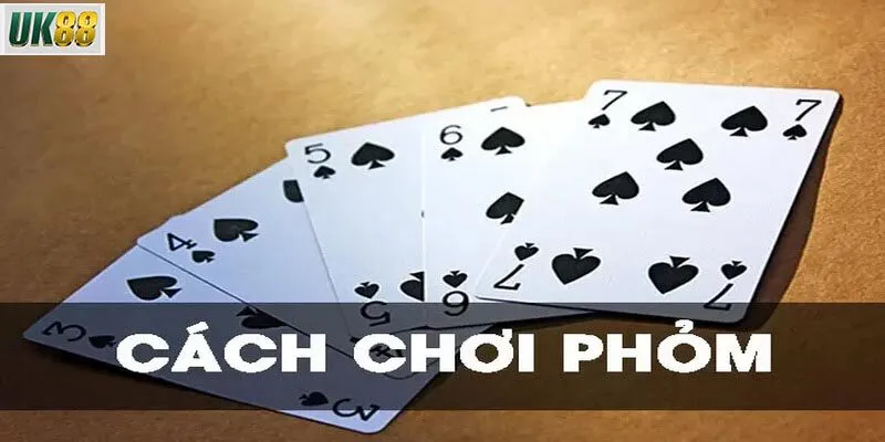 Những chiến lược để chơi phỏm 9 lá thành công của các cựu game thủ
